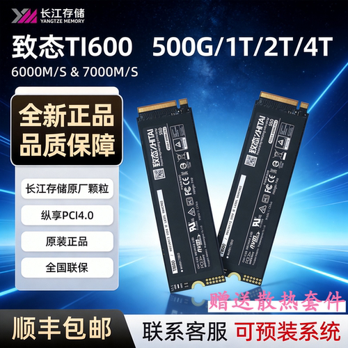 致态TI600 500G 1T 2T 4T 长江存储高速台式机笔记本电脑固态硬盘