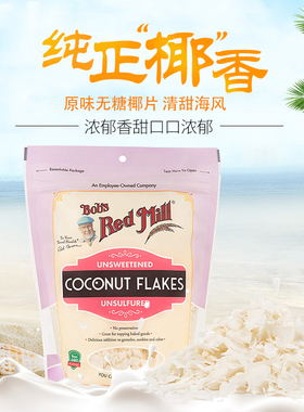 进口椰肉干crispy coconut chips香脆椰子片椰子干椰子片干椰片干