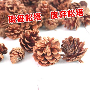 烂松果壳松塔壳 铺垫花盆底碳天然保水透气有机植料土壤引火烧烤