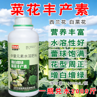 菜花增白增绿丰产素花菜球大花型正西兰花增重球形端正提质叶面肥
