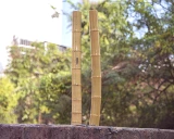 Zhushui Табачная трубка-экстраординарная версия длинной версии Гуандун Юннан Бамбук Бым дым сигаретный горшок Чжанцзян может сделать длинные короткие и толстые детали