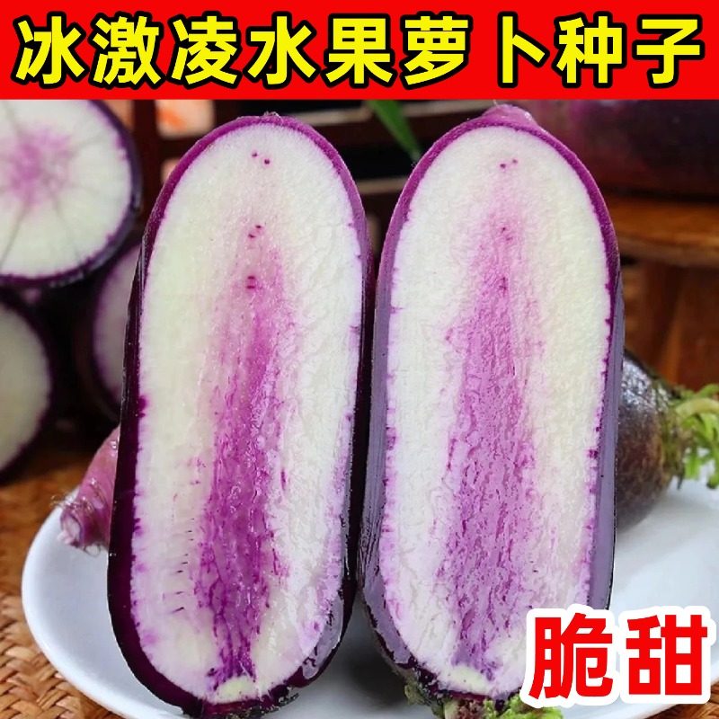 紫皮冰淇淋水果萝卜冰糖心种子正宗新鲜生吃萝卜籽蔬菜种孑四季播,鲜花速递/花卉仿真/绿植园艺,家庭园艺种子,淘宝优惠券,粉丝福利购,淘宝优惠卷