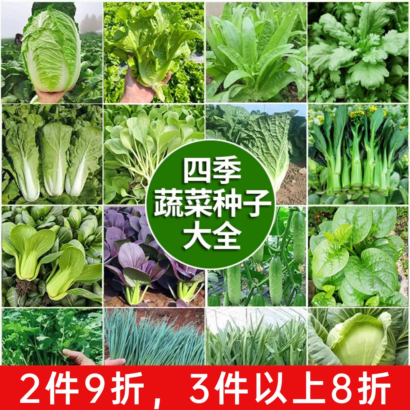 四季播蔬菜种子大全庭院香菜生菜草莓辣椒上海青阳台盆栽萝卜籽