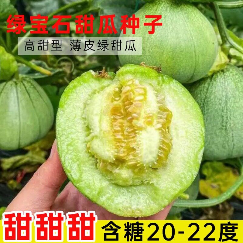 青皮绿肉绿宝石甜瓜种子正品老品种小香瓜甜王西瓜种籽四季播蔬果
