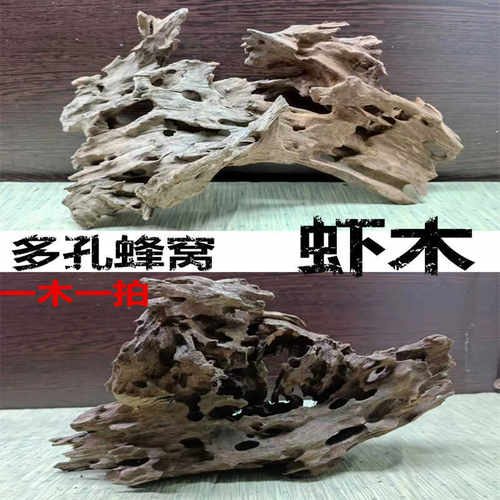 多孔天然摆件精品木头虾镂空树桩