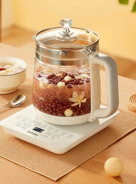 110V美规养生壶电热烧水壶煮茶器煎药壶黑花茶煮茶壶出中国台湾省