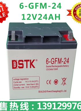 DSTK 6-GFM-24 12V24AH 免维护铅酸阀控蓄电池NP24-12 UPS蓄电池