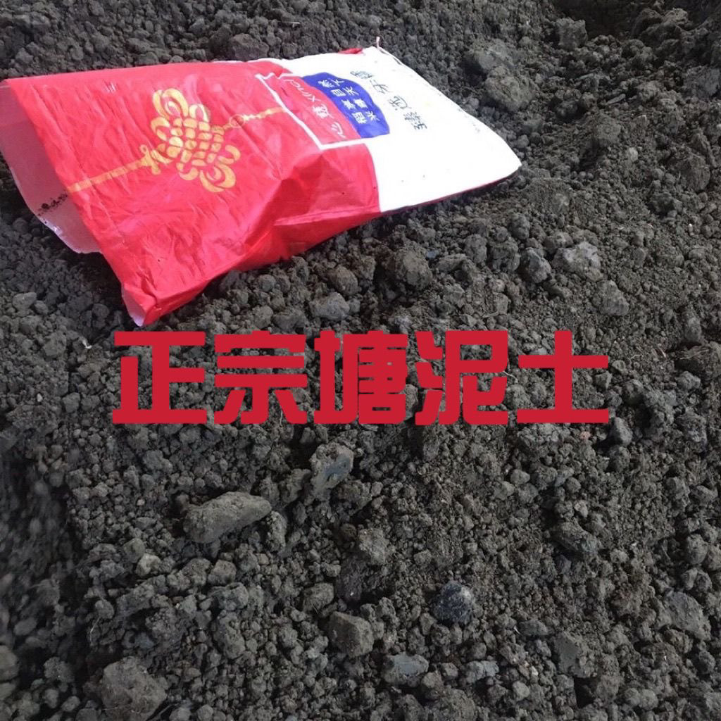 池塘土鱼塘泥种植土纯天然土壤花介质/营养土