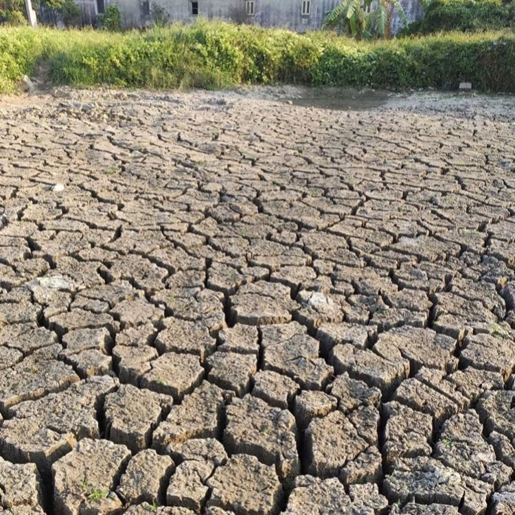 有机池塘土养花种菜专用土盆栽通用型土壤种植土透气疏松透气塘泥