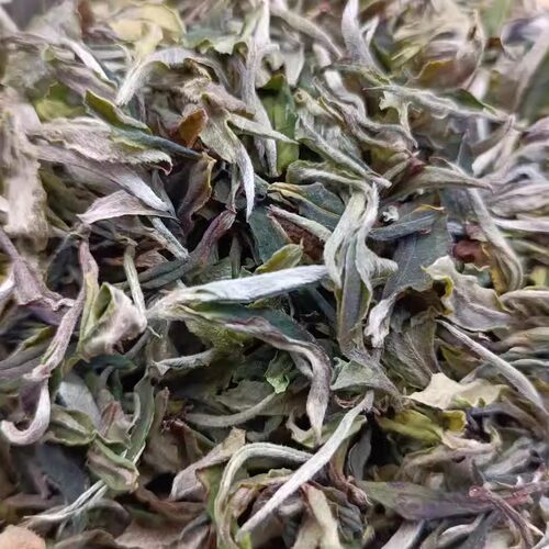 云南凤庆月光白贡眉老品种白茶花香茶250克