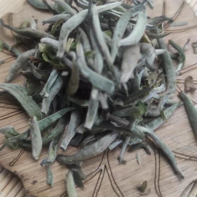 老品种贡眉银针云南白茶月光白芽茶叶凤庆2025年新茶茶叶茶
