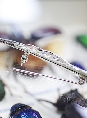 溪迟羽毛别针两用吊坠