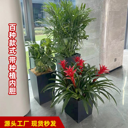 镀锌板绿植异形大花箱厂家直销