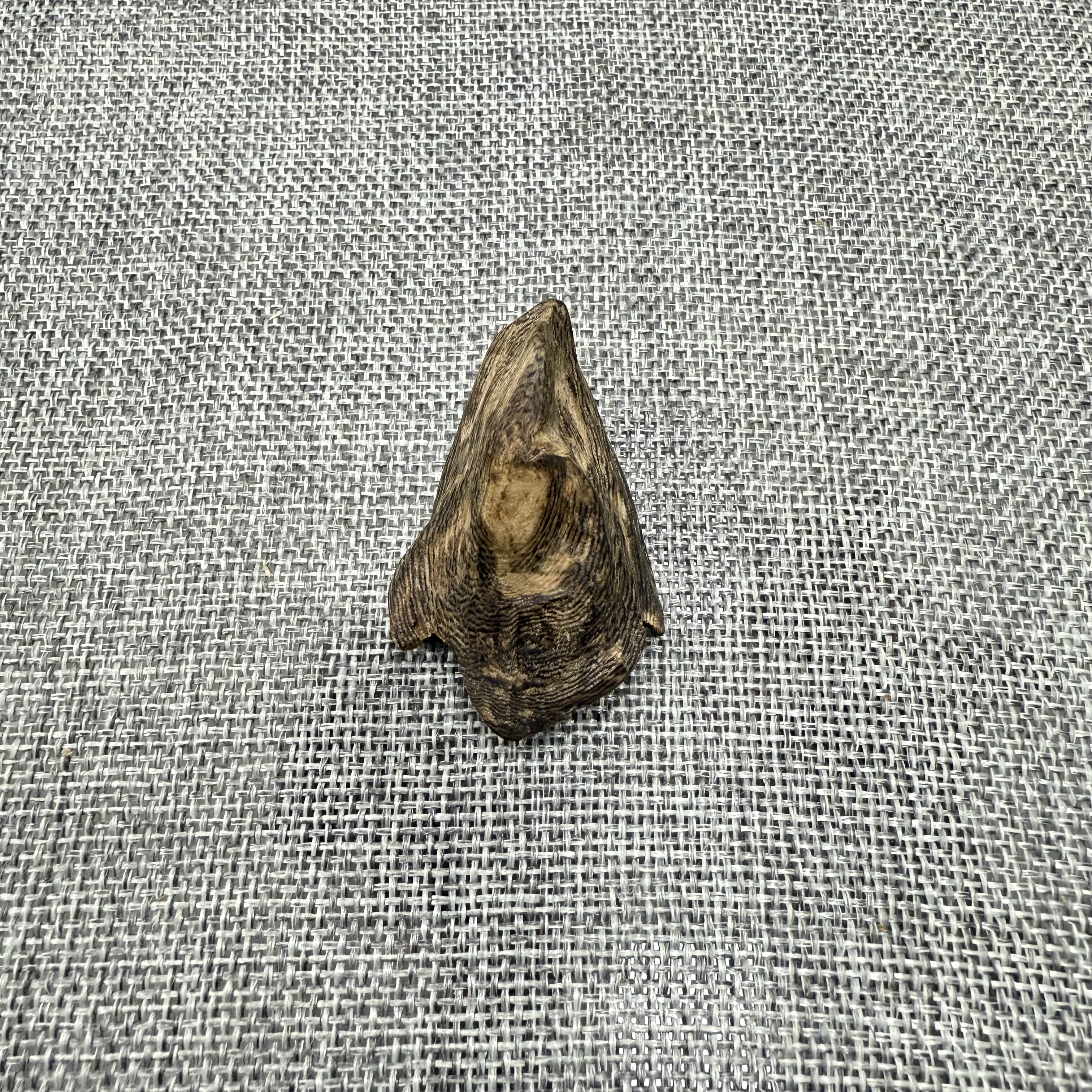 天然棋楠树丁壳吊坠挂件4.2克