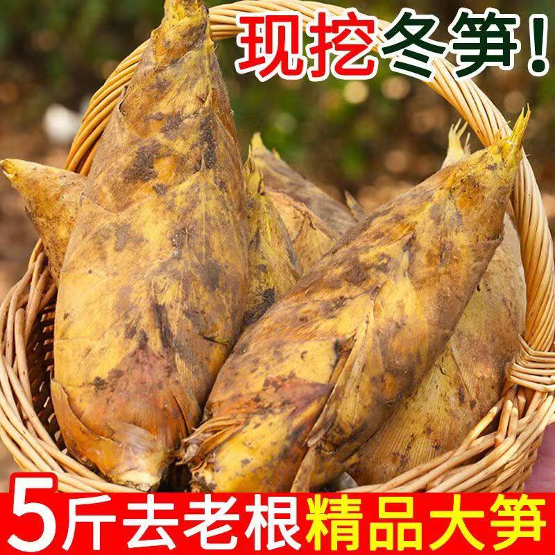 江西农家冬笋新鲜现挖现发冬笋今年当季新货野生黄泥毛竹笋