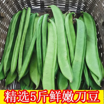 江西农家自种 新鲜现摘精品嫩刀豆