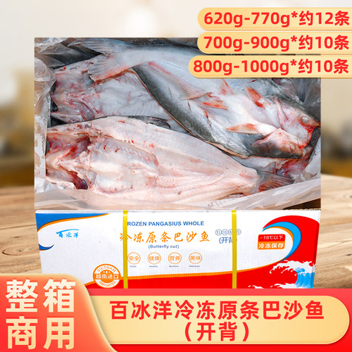 整箱百冰洋原条开背巴沙鱼约10条