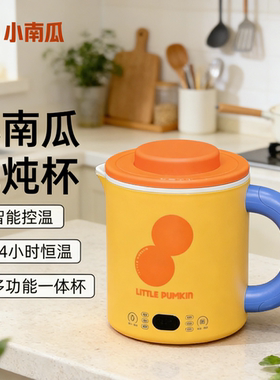 小南瓜电炖杯一人食用小煮锅