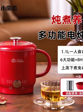 小南瓜一人多功能迷你养生壶
