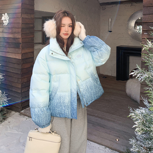 【新品现货】晕染渐变色50绒立领羽绒服B228-A667-P250控368，女装羽绒服，浙宝228