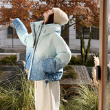 【新品现货】晕染渐变色50绒连帽羽绒服B228-A668-P265控388，女装羽绒服，浙宝228