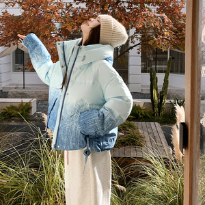 【新品现货】晕染渐变色50绒连帽羽绒服B228-A668-P265控388，女装羽绒服，浙宝228