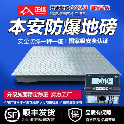 防爆地磅秤电子秤磅秤正峰