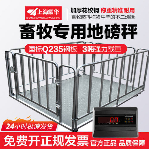 上海耀华精准地磅秤带围栏称猪