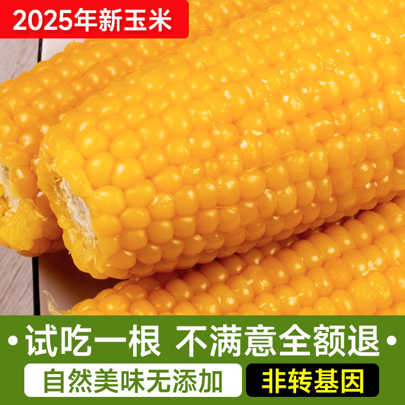 2025年新东北玉米新鲜甜糯玉米黄新黏苞米粘正宗10支现摘非即食