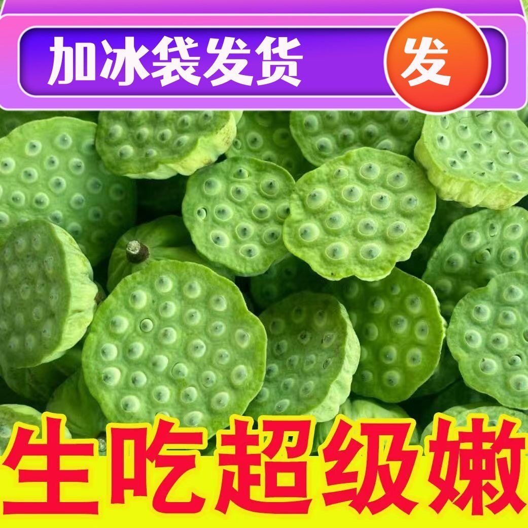 新鲜莲蓬当季水果莲子湘莲嫩莲蓬孕妇甜嫩甜莲子现剥莲子老莲蓬米