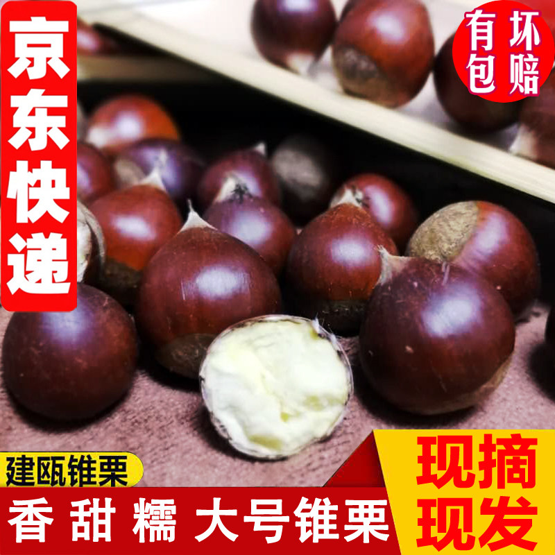 找我们送开口器现摘现发原产地