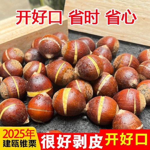 开好口锥栗省事又省心简单吃锥栗
