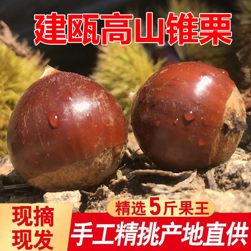 坏果包赔顺丰鲜直达联系领开口器