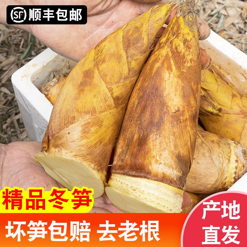 鲜笋冬笋现挖毛竹笋福建新鲜春笋尖黄泥笋毛笋子5斤腌笃鲜非临安