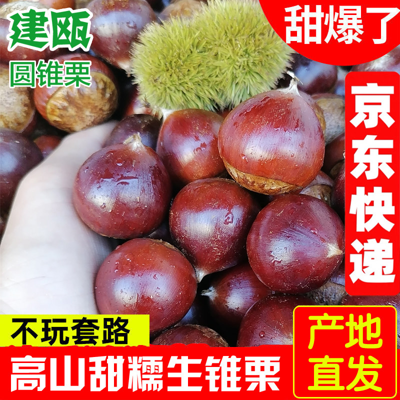 坏果包赔付京东包邮现摘建瓯锥栗