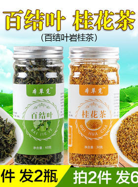 百结叶桂花茶百结岩桂茶和加百节白结百洁白洁叶口臭男女长白山除