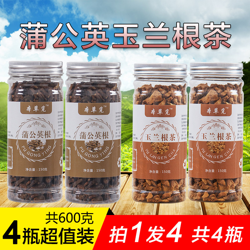 蒲公英玉兰根茶【九年老店】