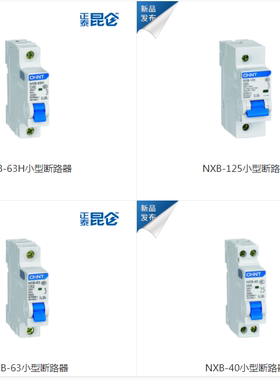 正泰小型断路器DZ47-60/DZ158-125/NBH8-40/NB7/NB1-63/NB1Z-63