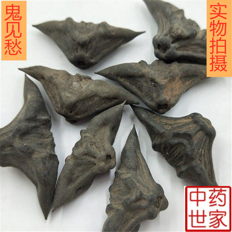 鬼见愁500g克包邮中药材鬼见愁 野生鬼见愁 辟 新货鬼见愁