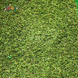 人工草坪儿童地毯地垫塑料草坪毯地垫 幼儿园草地学校草坪