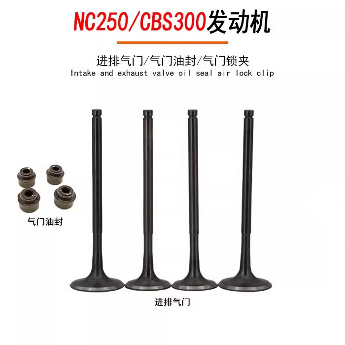 CBS300发动机气门越野摩托车气门