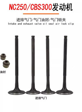 波速尔 极盗者 战狼越野车NC250 CBS300发动机进排气门 油封 锁夹