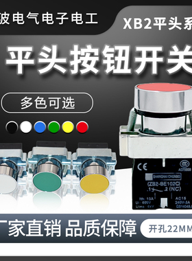 XB2-BA31C BA42C 平头绿色按钮 启动停止按钮 开关合金铜件铜点