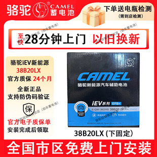 骆驼新能源辅助蓄电池38B20LX比亚迪元 PLUS下固定专用46B24LX
