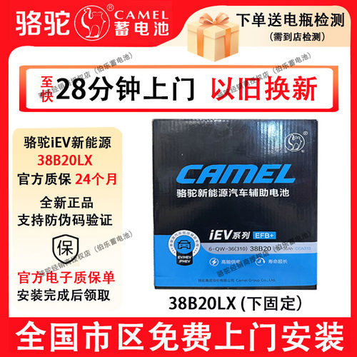 骆驼新能源辅助蓄电池38B20LX比亚迪元PLUS下固定专用46B24LX