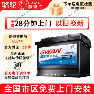 骆驼天鹅蓄电池60044适配于大通T60依维柯V80奔驰宝马汽车电瓶
