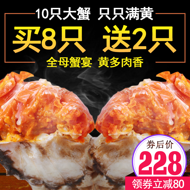 8送2 陽澄湖大閘蟹 螃蟹 鮮活 全母蟹3.0兩特大蟹10只禮盒裝