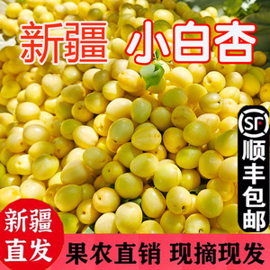 新疆小白杏当季新鲜水果