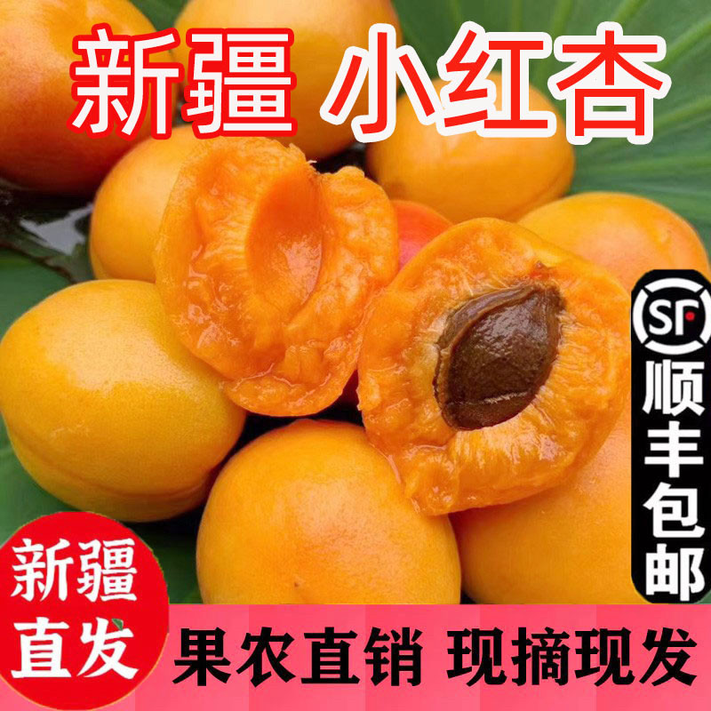 新疆库车阿克苏鲜甜小红杏包邮