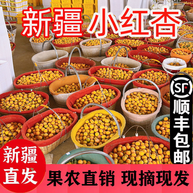 新疆吊干杏小红杏新鲜包邮